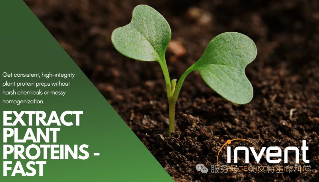 破局植物亚细胞分离困境：从“费力不讨好”到“高纯收获”