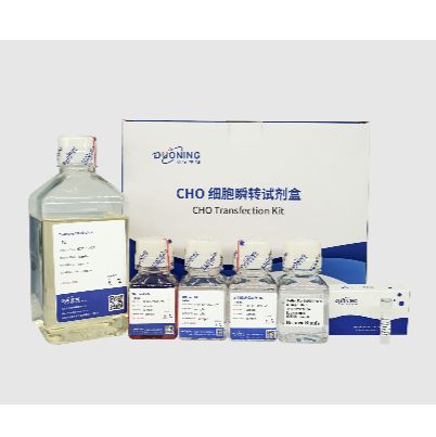 CHO细胞瞬转试剂盒