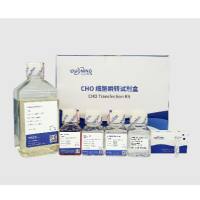 CHO细胞瞬转试剂盒