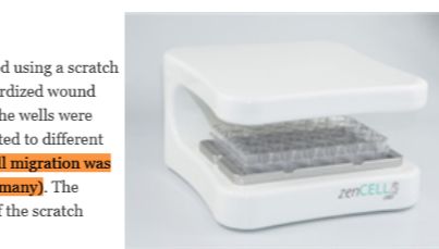 zenCELL owl 实时活细胞成像分析仪用于细胞划痕迁移实验助力酸性腹水抑制卵巢癌细胞迁移能力的研究