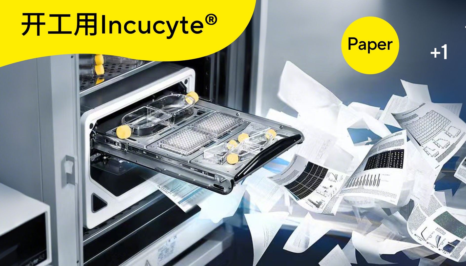 谁说科研靠玄学？用 Incucyte® 实时成像，做硬核“学术锦鲤”