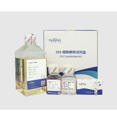 HEK293 细胞瞬转试剂盒