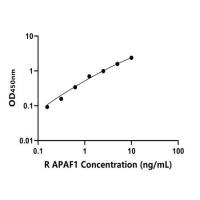 大鼠凋亡蛋白酶激活因子1(APAF1)ELISA试剂盒