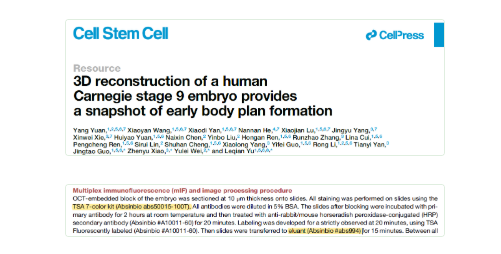 IF 20.4 重磅突破！3D 重建人类 CS9 胚胎，破解早期发育 “黑箱”