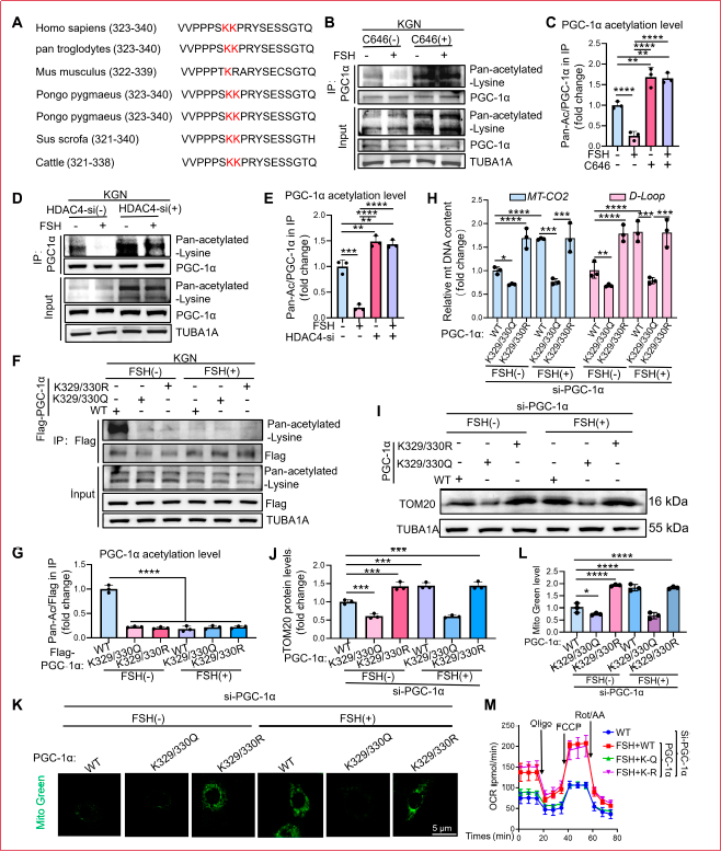 6390815310888834262381545