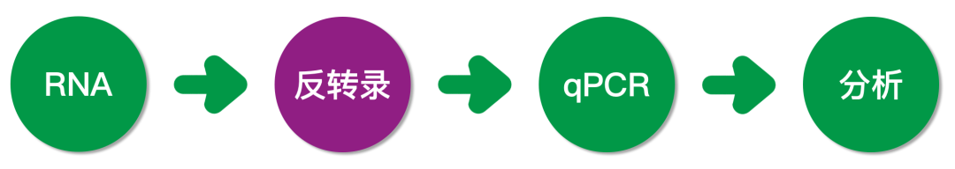 RT-qPCR实验避坑指南