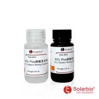 索莱宝 PE0010 ECL Plus超敏发光液