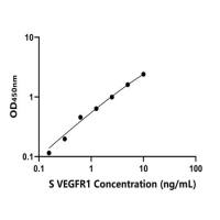 羊血管内皮生长因子受体1(VEGFR1)ELISA试剂盒