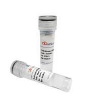 Recombinant Human HTATSF1 Protein, N-His, 重组人HTATSF1蛋白 (N端His标签)