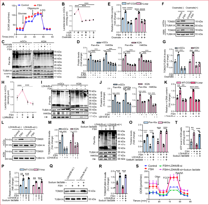 6390815302102480256576774