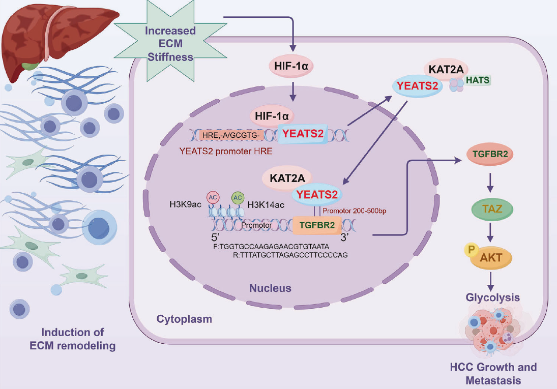 6390866803864126772074272
