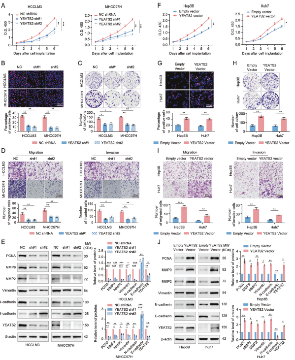 6390866807238350795414417