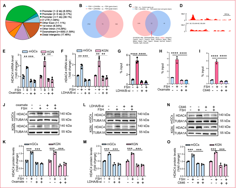 6390815306411568649012556