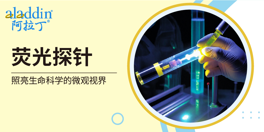 【阿拉丁】荧光探针｜照亮生命科学的微观视界