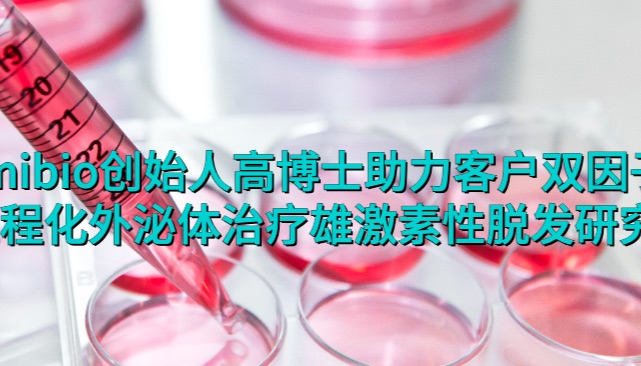 IF=6.5 | Umibio创始人高博士助力客户双因子工程化外泌体治疗雄激素性脱发研究！