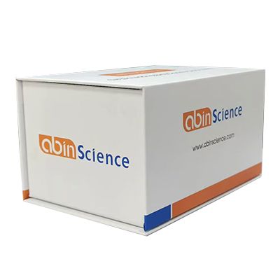 Anti-Nipah Glycoprotein G Human IgM ELISA Kit, Anti-Nipah Glycoprotein G Human IgM ELISA试剂盒