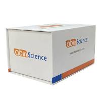 Anti-Nipah virus/NiV Glycoprotein hIgG ELISA Kit, Anti-Nipah virus/NiV Glycoprotein hIgG ELISA试剂盒