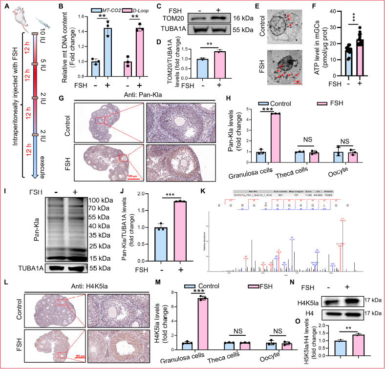 6390815299735329873869882