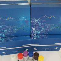 可溶性生长刺激表达基因2蛋白（ST2）检测试剂盒（酶联免疫法）