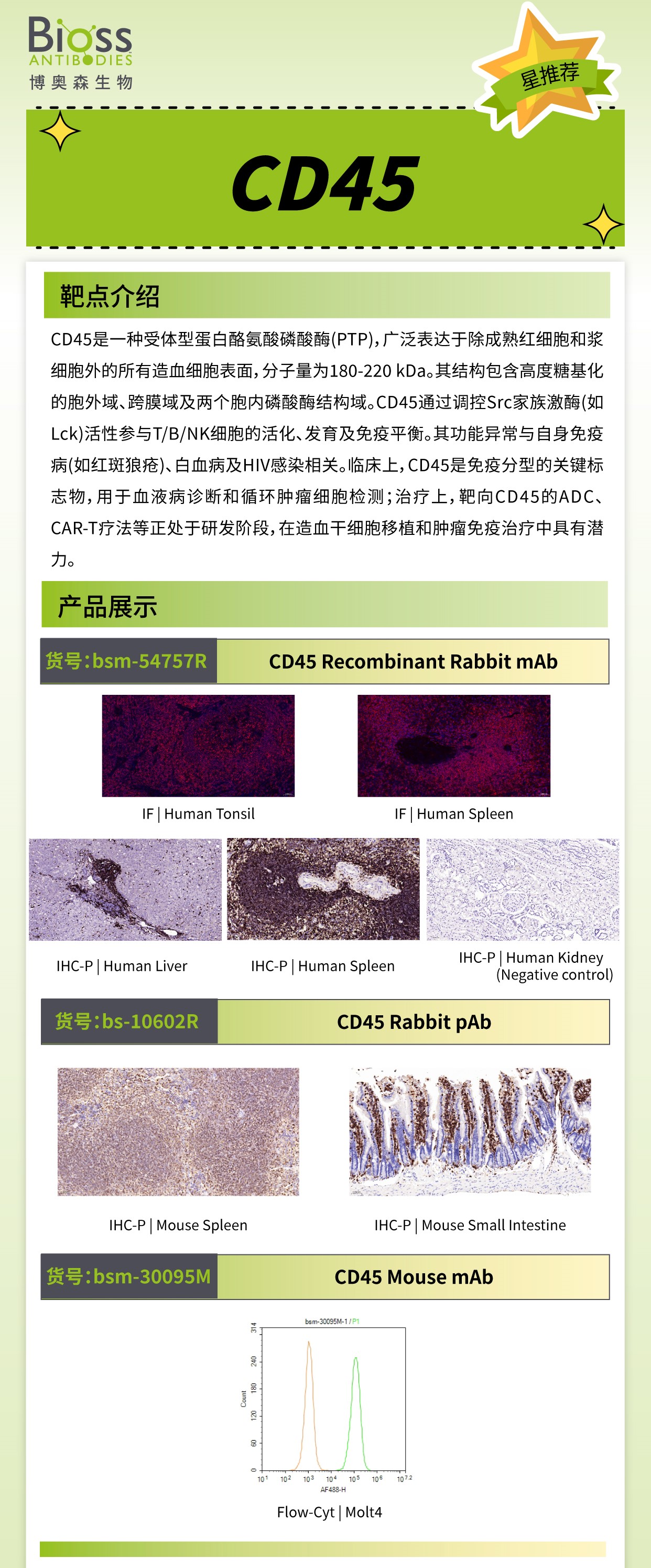 博奥森星推荐 | CD45 抗体