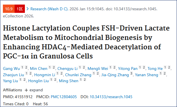 6390815293479117165563552