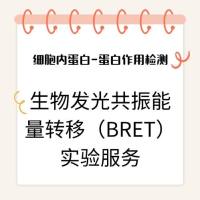 细胞内蛋白-蛋白作用检测：生物发光共振能量转移（BRET）实验服务