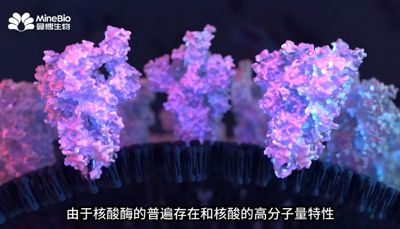 PEI转染效率提升指南：Polysciences PEI转染优化关键参数解析（上）