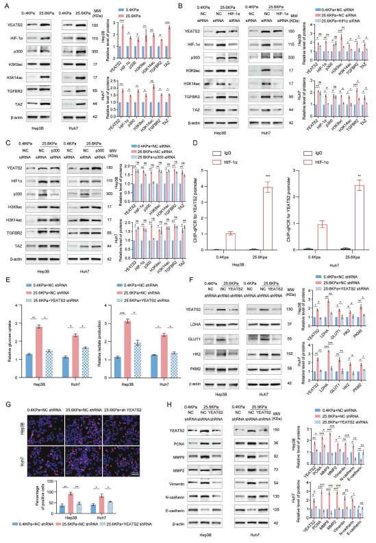 6390866809058142597178233