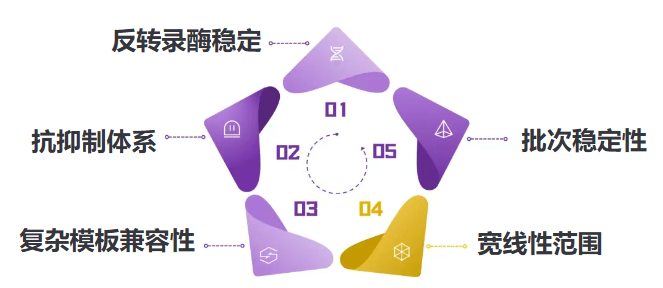 新闻图片5