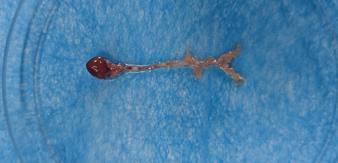 6390821852100651383515122.png 6390821852100651383515122.png