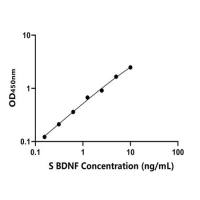 羊脑源性神经营养因子(BDNF)
