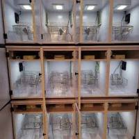 多通道大小鼠节律生物学数据采集系统