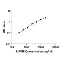 兔Ⅰ型前胶原氨基端原肽(PINP)ELISA试剂盒