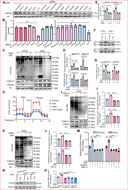 6390815305428575255919635