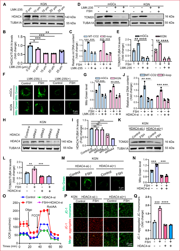 6390815307280810083822804