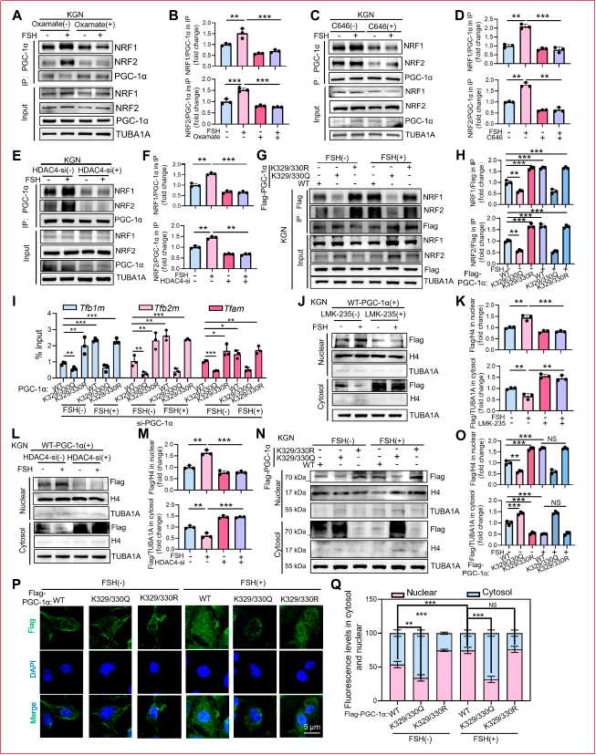 6390815317021080565053060