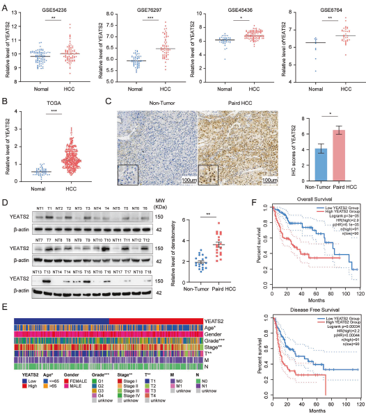 6390866805810170669249702