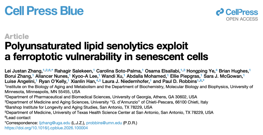 Cell子刊重磅：借铁死亡之力清除衰老细胞，助力健康寿命延长