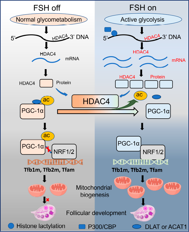 6390815325474011322381996