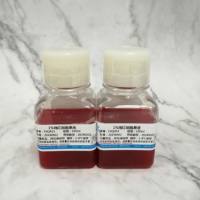 1%鸡红细胞(SPF级)