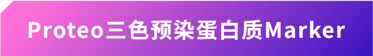 新闻图片5