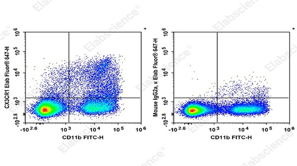 Elab Fluor® 647 抗小鼠 CX3CR1 抗体[SA011F11]：流式检测小鼠靶点，告别非特异性结合！