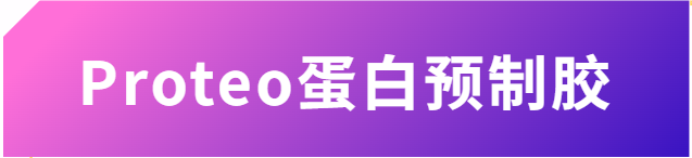 新闻图片1