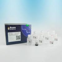 BEAVER(海狸)20202-1 Protein A/G抗体纯化试剂盒