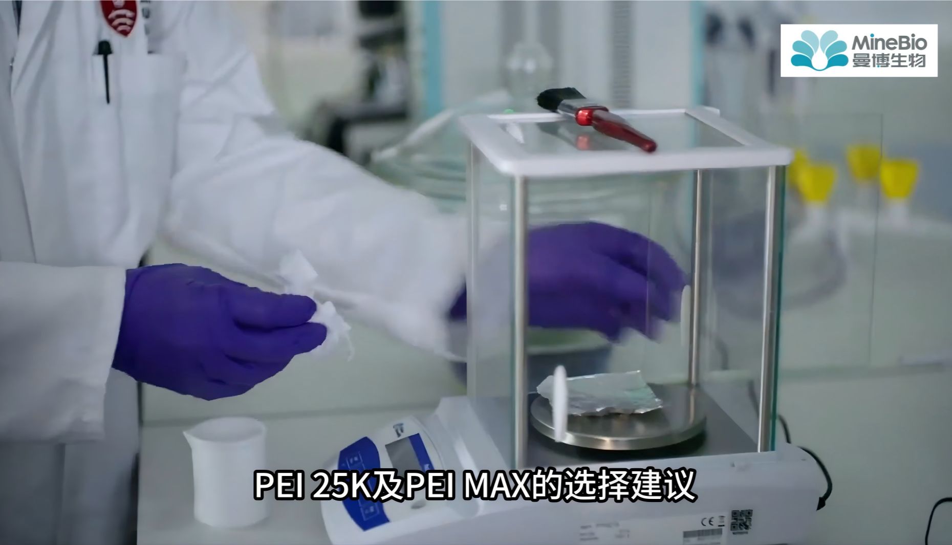 Polysciences PEI 25K与PEI MAX对比：PEI转染试剂选型指南