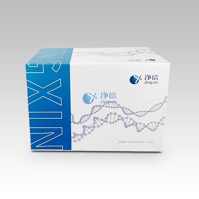 组织单细胞解离酶