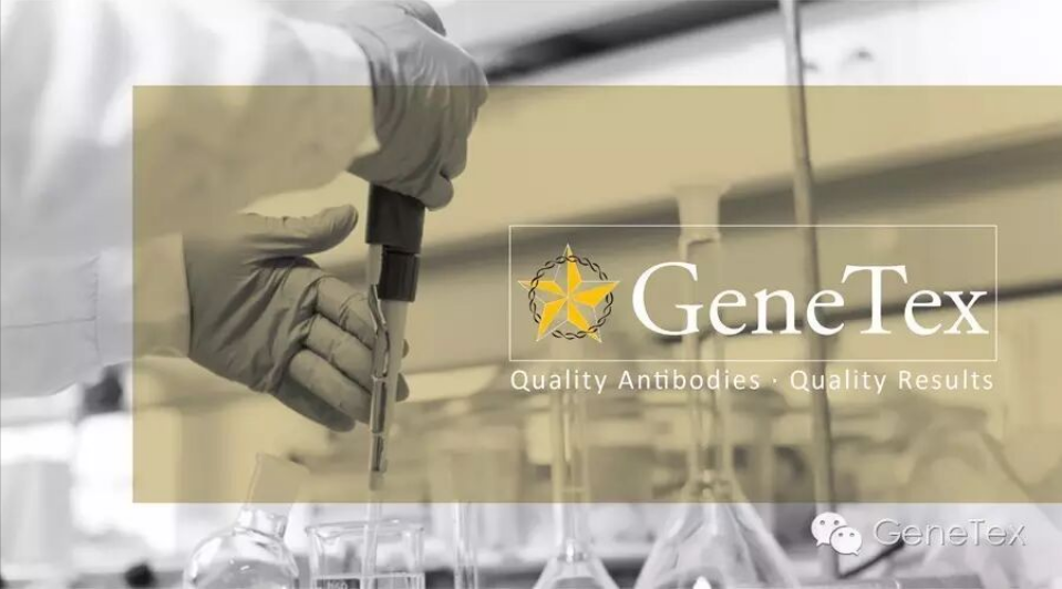 GeneTex品牌