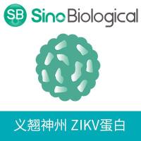 重组Zika virus (ZIKV) (ZikaSPH2015) ZIKV-E蛋白 (Dimer, His标签)
