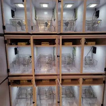 大小鼠节律生物学数据采集系统