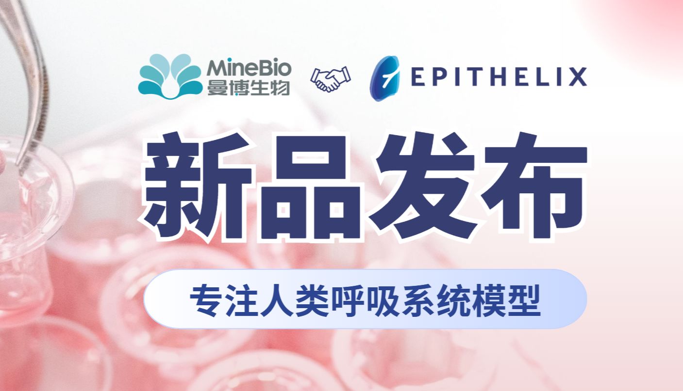 新品推荐：Epithelix｜人呼吸系统体外模型供应商